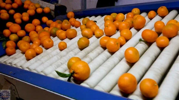 Citrus Industry Chain