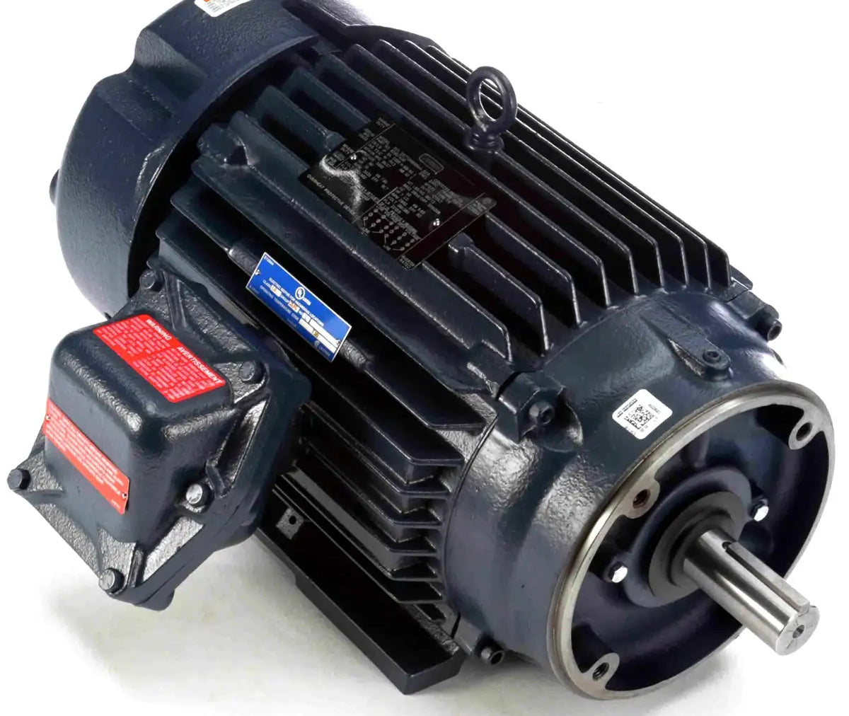 Leeson 215TTGN4051 10 HP Explosion Proof Motor 215TC