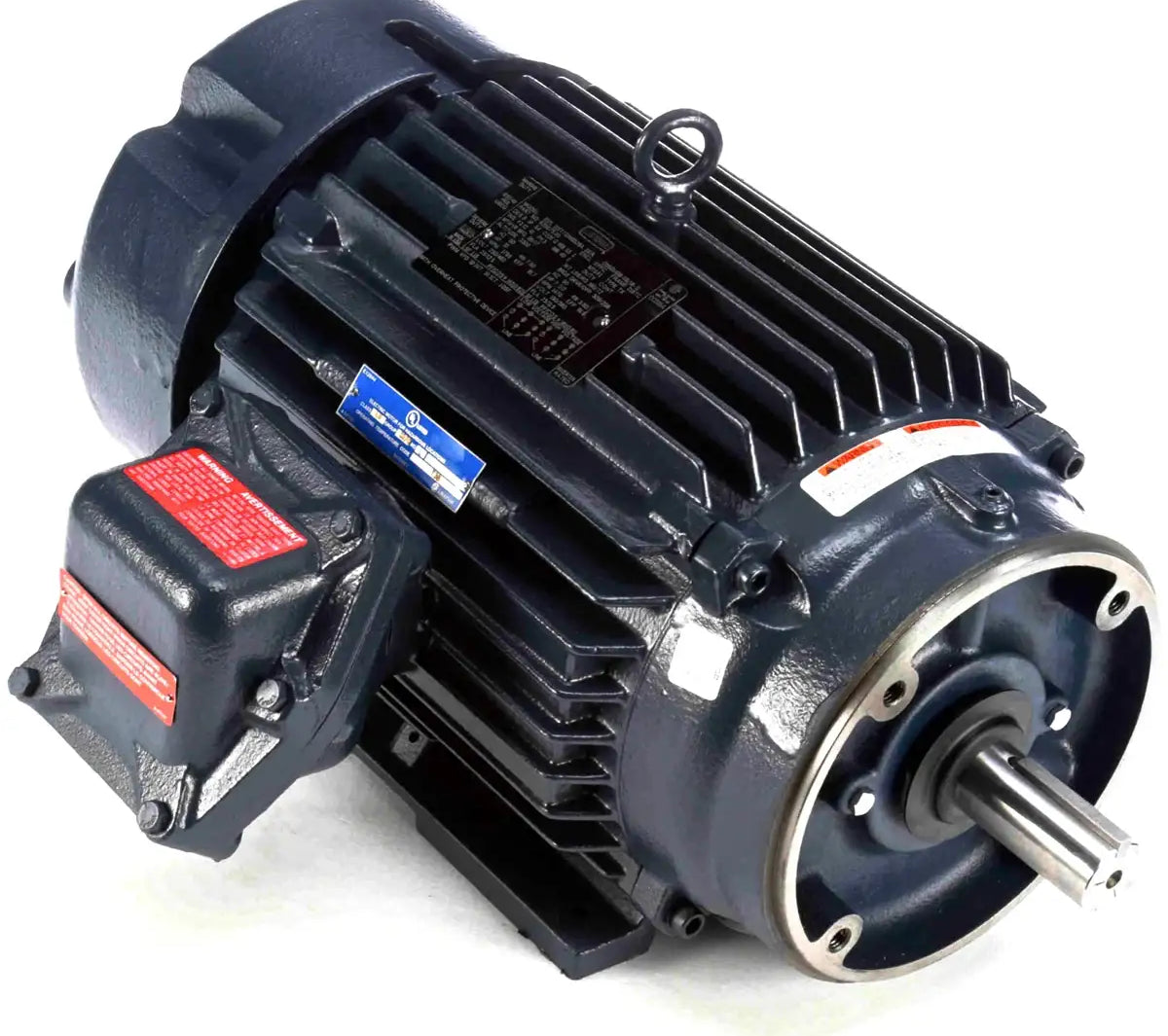 215TTGN16526-electric-motor