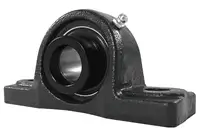 HCAK205-14 Bearing | 7/8" 2-Bolt Eccentric Locking Bearing