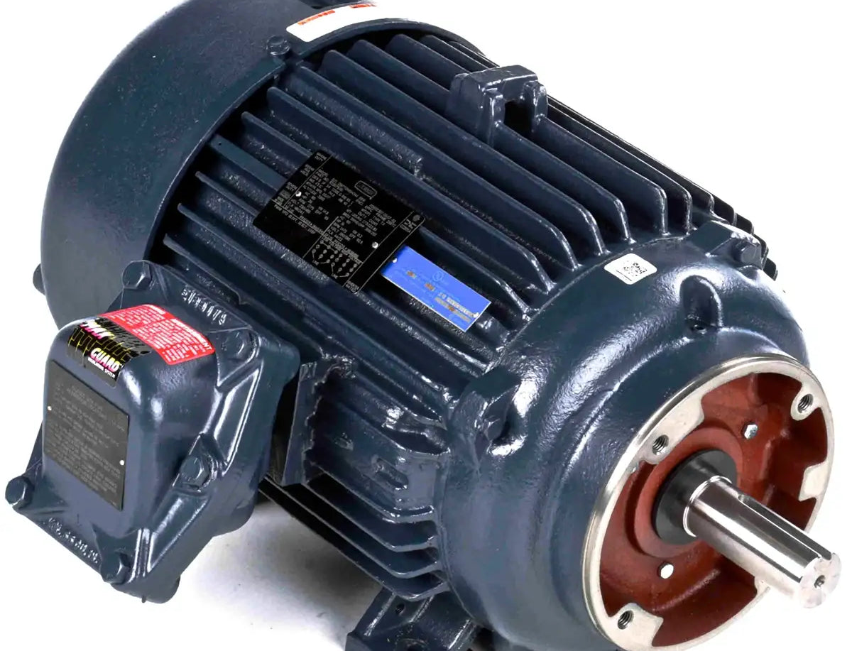 256TTGN16543-electric-motor