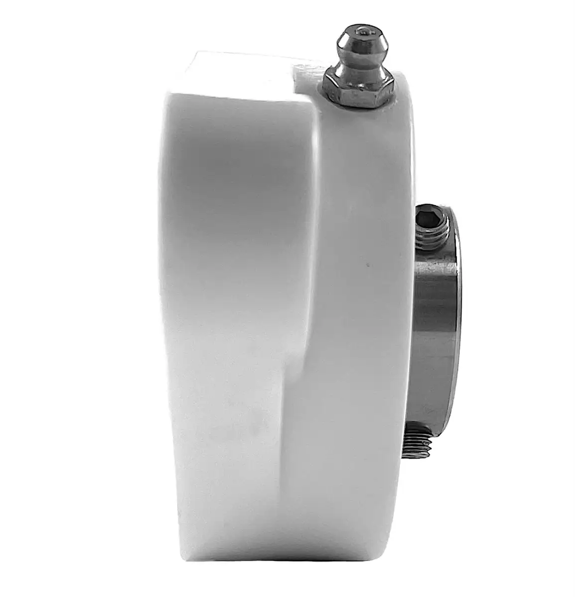 UCFLPL204-12SS Bearing | Thermoplastic 3/4" Bearing