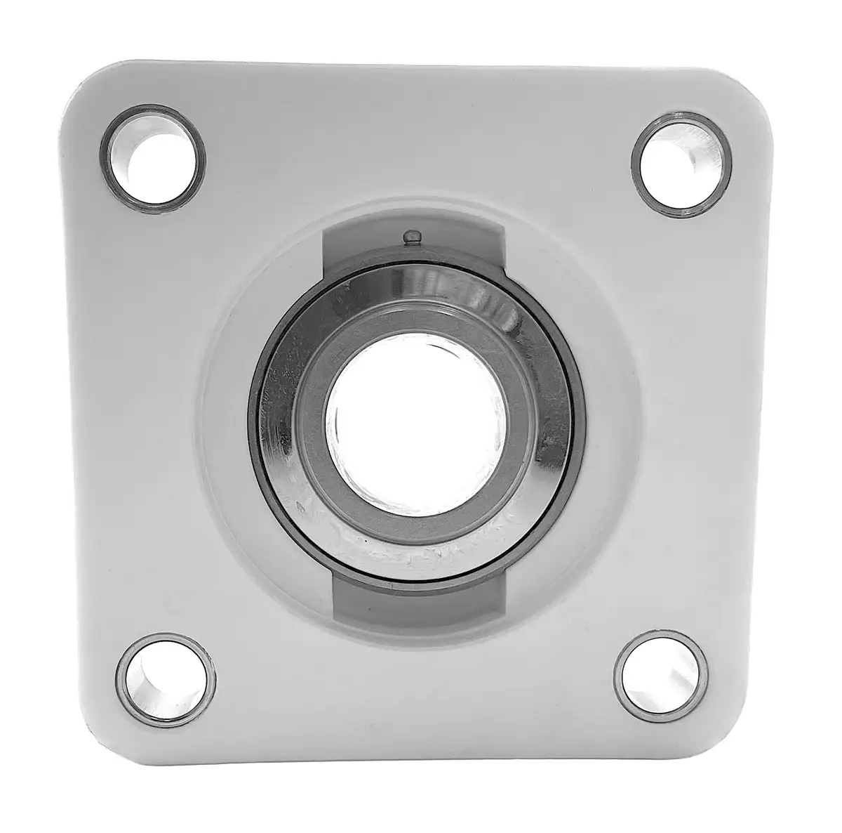 UCFPL204-12SS Bearing | Thermoplastic 3/4" Bearing