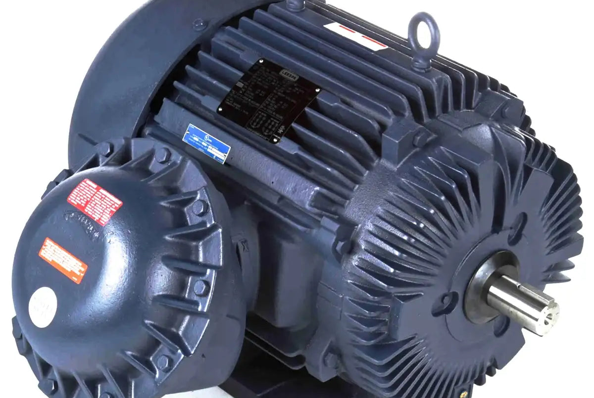 364TSTGS16504-electric-motor