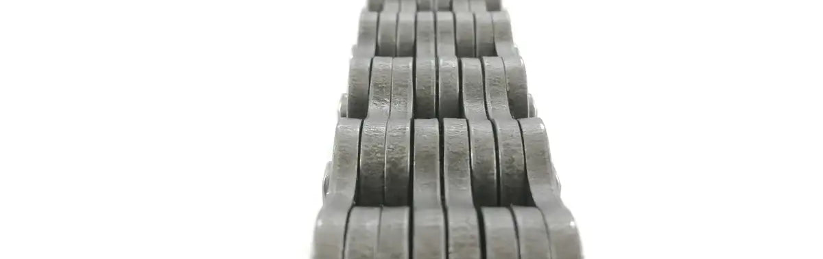BL1644 Leaf Chain | ANSI BL 4X4 Chain 2" Pitch - 10ft Box