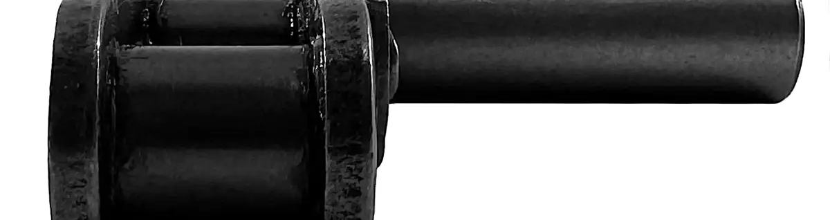 C2060H W/ 1/2" X 1-5/8" D-5 Ev 2nd | Carbon Citrus Chain 10FT